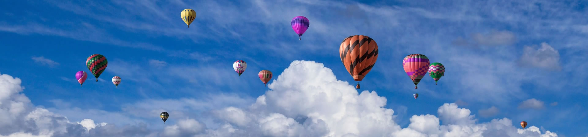 下载安卓tp钱包app1